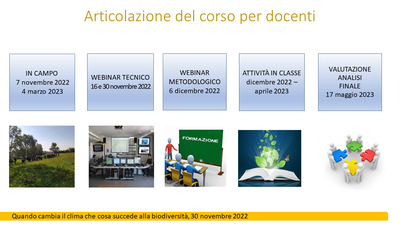 articolazione corso 22 23