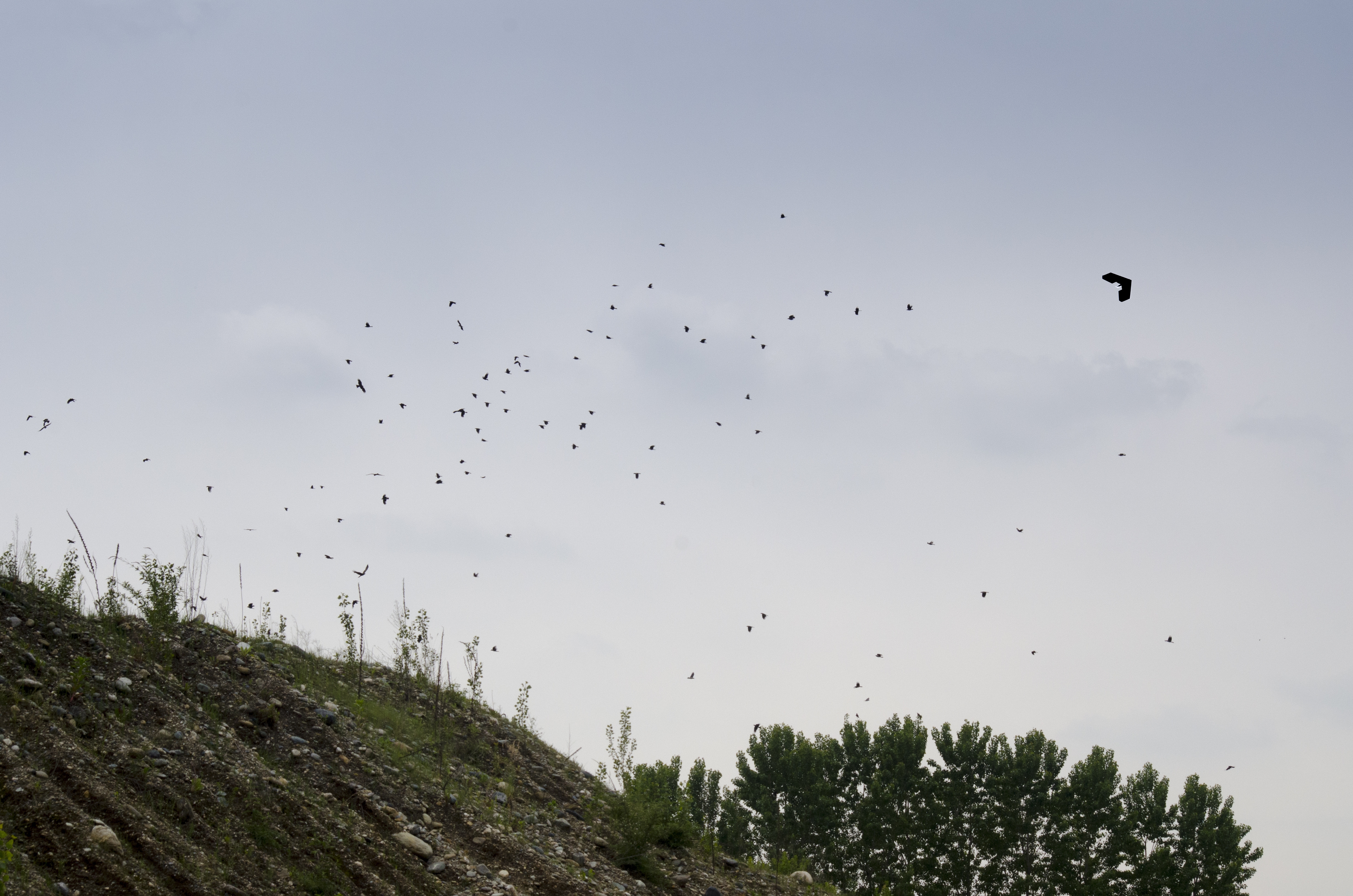 Drone in volo