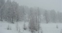 Ancora neve in Piemonte domenica e lunedì