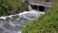 Borgo Vercelli: schiuma nella roggia Fontana Bramante