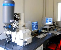 Microscopio elettronico