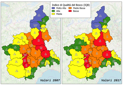 AIT: qualità del bosco