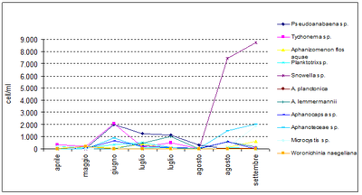 grafico balneazioni