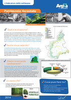 indicatore patrimonio forestale